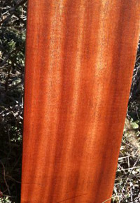 quartersawn utile wood