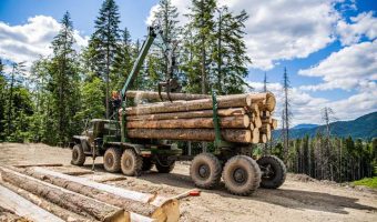 lumberjack with log truck and logs on mountain